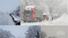 Отново дъжд и сняг: За 9 области от страната е обявен жълт код (КАРТИ)
