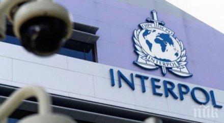 интерпол предупреди светът заплашен нова терористична вълна
