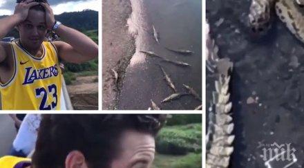 хит реакцията турист изпуснал мобилния телефон яма крокодили коста рика взриви социалните мрежи