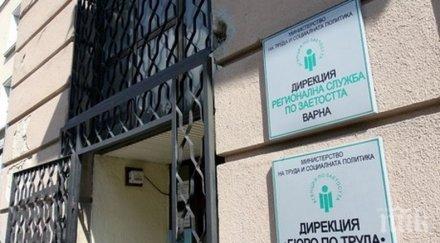 трудовия пазар 200 свободни работни места обявени бюрото труда областта