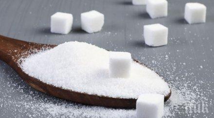 захарта променя микрофлората човешкия организъм