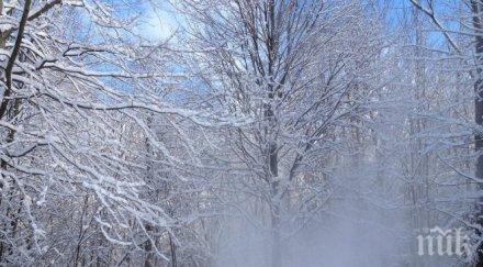 силен вятър брули сливен сек