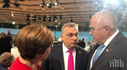 първо пик борисов започва участието срещата върха африка виена живо снимки