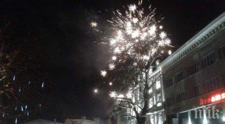 пловдив гледа заря съобразена кучешките инфаркти