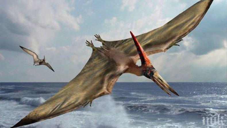 НЕВЕРОЯТНО: Фосили на птерозаври разкриха чисто нова история на птиците