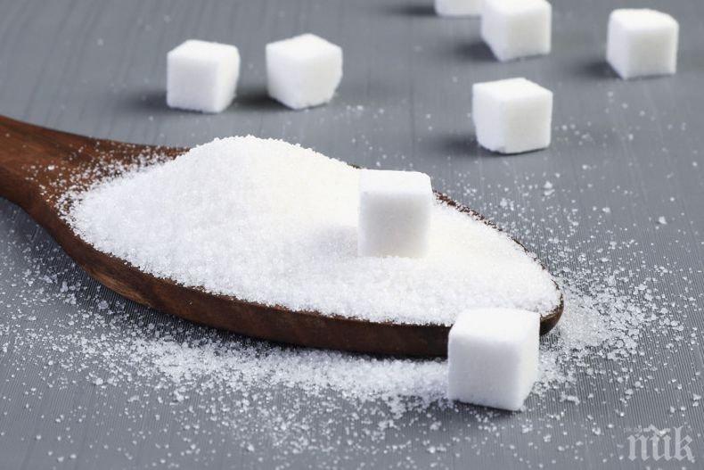 Захарта променя микрофлората в човешкия организъм