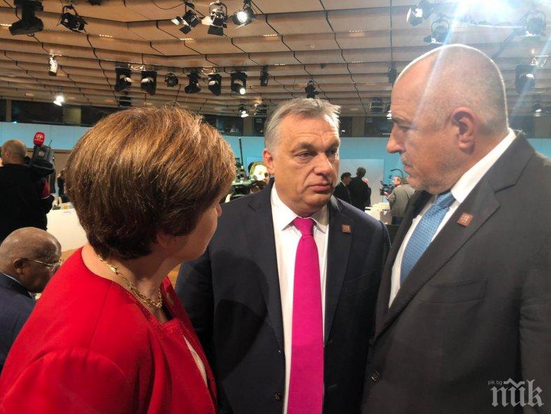 ПЪРВО В ПИК: Борисов започва участието си в срещата на върха ЕС-Африка във Виена (НА ЖИВО/СНИМКИ)