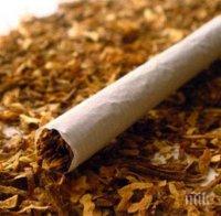 Русия планира да забрани продажбата на тютюн след 2050 г.