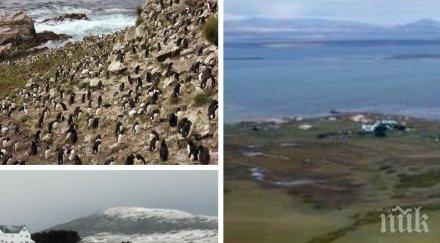 необичайна идея подарък парче фолклендските острови струва