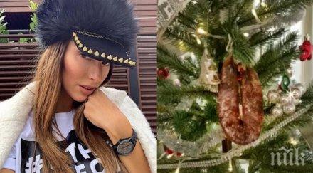 жената лудия репортер сложи суджук елхата