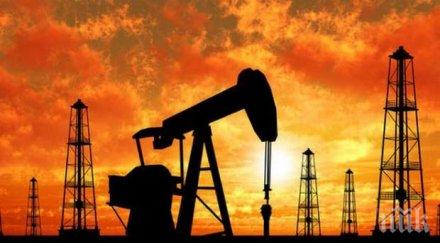 цените нефта приближиха долара барел