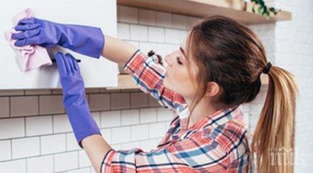 полезни съвети светкавично предколедно чистене