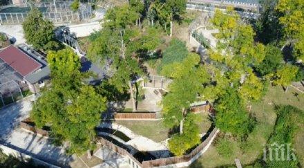 аванта тепетата пускат безплатен вход зоологическата градина открият