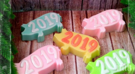 годината земната свиня носи пари късмет