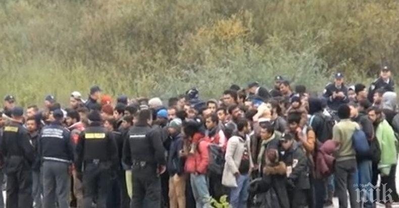 Спипаха над 40 нелегални мигранти и трафикантите в Солун 
