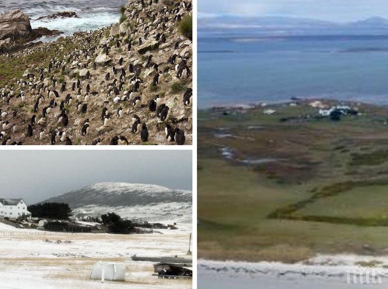 Необичайна идея за подарък: Парче от Фолклендските острови - ето колко струва