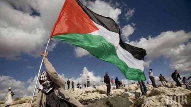 Палестина иска постоянно членство в ООН
