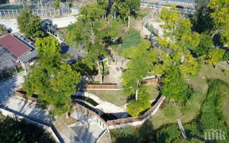 АВАНТА ПОД ТЕПЕТАТА: Пускат безплатен вход за Зоологическата градина, но преди това трябва да я открият