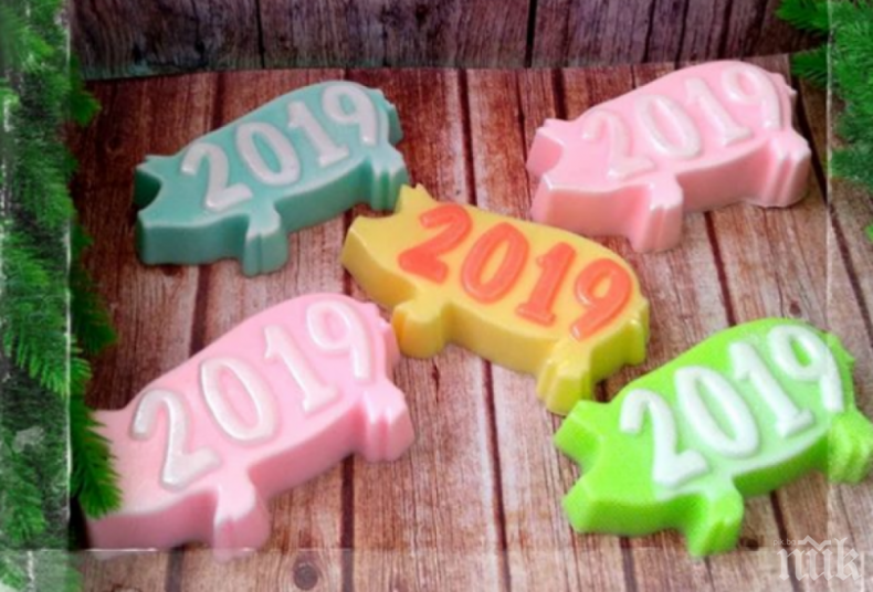 Годината на Земната свиня ни носи пари и късмет