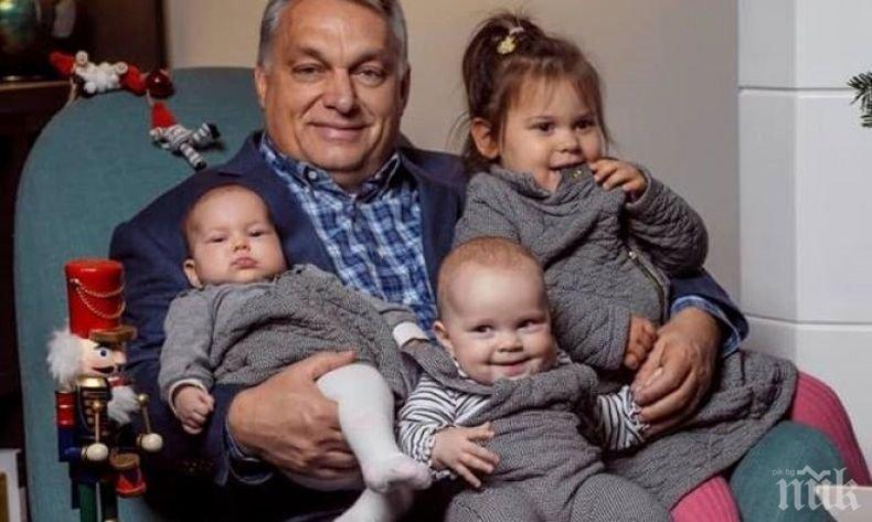 СЕМЕЙНА ИДИЛИЯ: Дядо Орбан се похвали с внуците