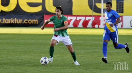 дни любопитна сделка сините заралии