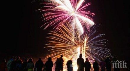 камикадзе левче хит новогодишната нощ