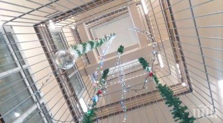 бургаският затвор грейна коледна украса окошарените изнесоха програма снимки