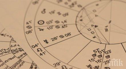 събота молете душите починалите вземете домашен любимец правете бавен секс подстригвайте късо