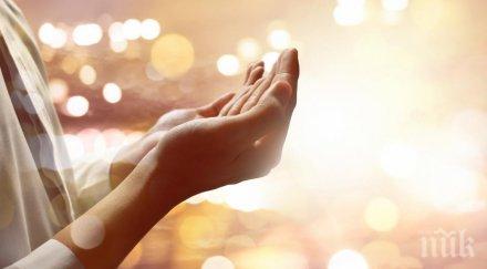 отслужват архиерейска света литургия храм рождество христово младост