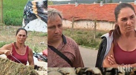 бсп плати независимо изследване стадото ани болярово