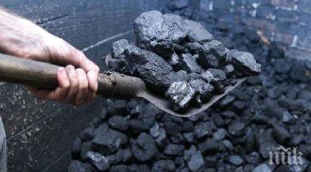 двама здравеняци свиха тона въглища