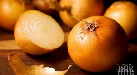 лукът топи мастните бучки тялото