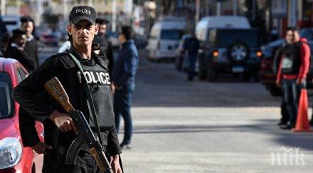 ответен удар ликвидираха терористи египет