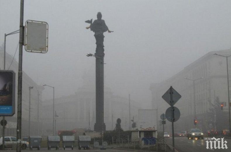 ГОРЕЩА ТЕМА: Ето как да се спасим от мръсния въздух