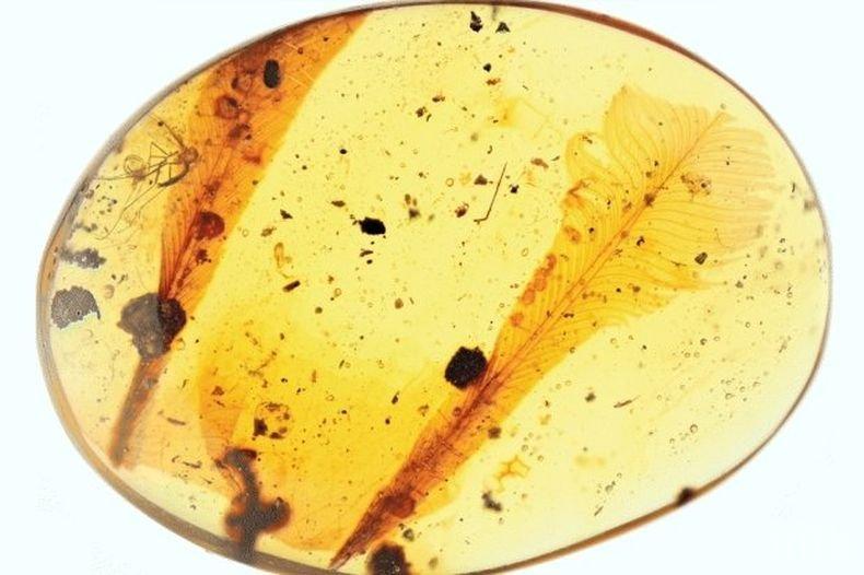 Каква е съдбата на руските скъпоценни камъни