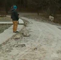 Алея в Борисовата градина остана без павета - гамени ги извадили за забавление