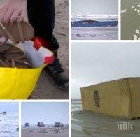 Рог на изобилието: Буря „изсипа” край холандския бряг стотици контейнери със стоки