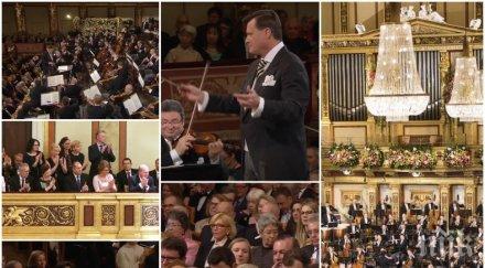 пик културен шок виена без родни вип ове традиционния концерт път радев заведе деси послуша щраус