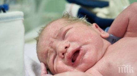 тревожно срив раждаемостта българия година