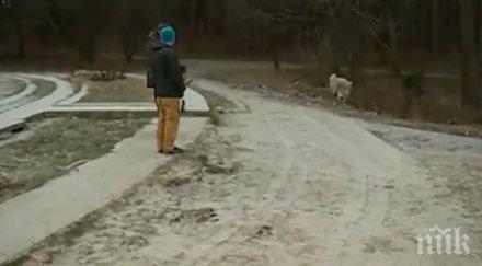 алея борисовата градина остана без павета гамени извадили забавление