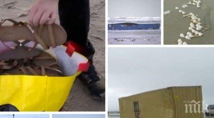 рог изобилието буря изсипа холандския бряг стотици контейнери стоки