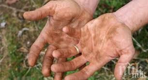 хепатит ловешко