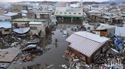 рихтер разлюля япония