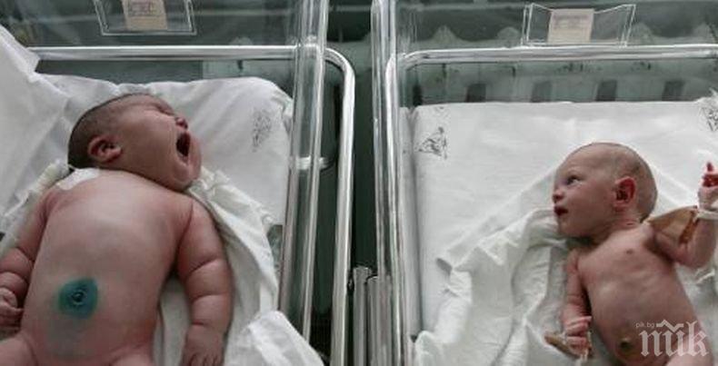 Женско царство: Само момичета проплакаха в първите минути на 2019 година в Пловдивско