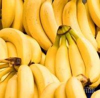 В няколко супермаркета в Германия откриха кокаин в кашони с банани