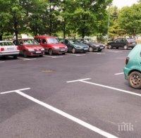 Скоби изядоха паркинг пред три блока в Пловдив
