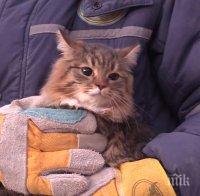 НЕВЕРОЯТНО: Извадиха живи куче и шест котки изпод руините на блока в Магнитогорск 