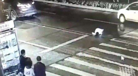 блъснаха жена пешеходна пътека пловдив