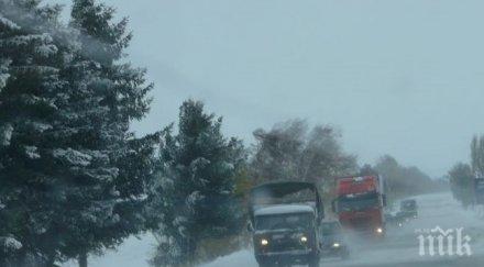 тежка катастрофа пътя русе бяла ударили два тира шофьорите ранени