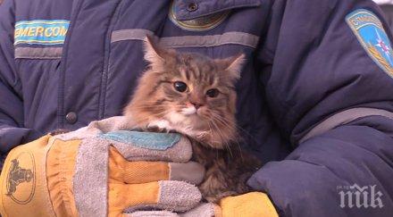 невероятно извадиха живи куче шест котки изпод руините блока магнитогорск